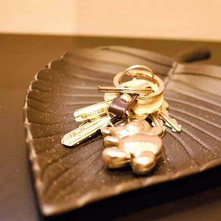 L'ill Au Sable שטרסבורג